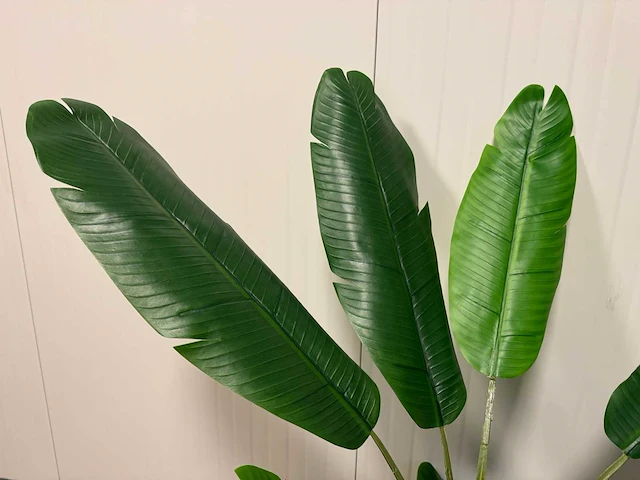 Banana tree kunstplant (185cm hoog) - afbeelding 14 van  14