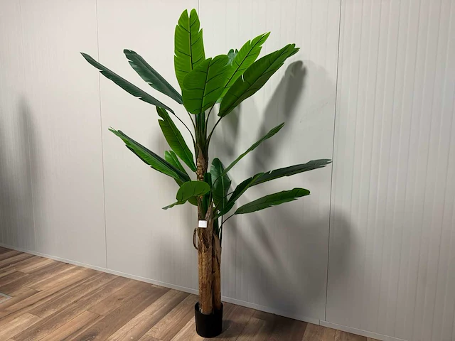 Banana tree kunstplant (185cm hoog) - afbeelding 8 van  14