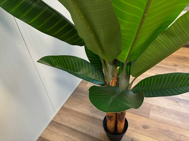 Banana tree kunstplant (200cm hoog) (2x) - afbeelding 14 van  15