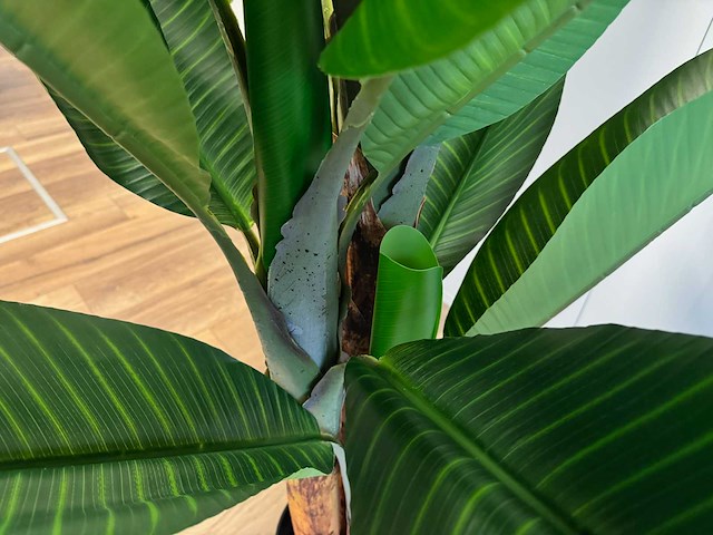 Banana tree kunstplant (200cm hoog) - afbeelding 6 van  16