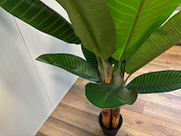Banana tree kunstplant (200cm hoog) - afbeelding 14 van  16