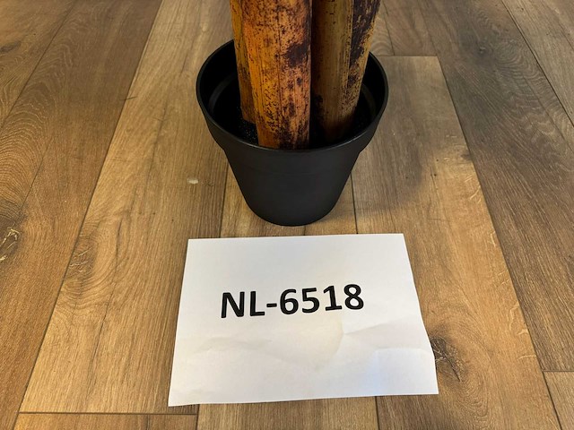 Banana tree kunstplant (200cm hoog) - afbeelding 8 van  16