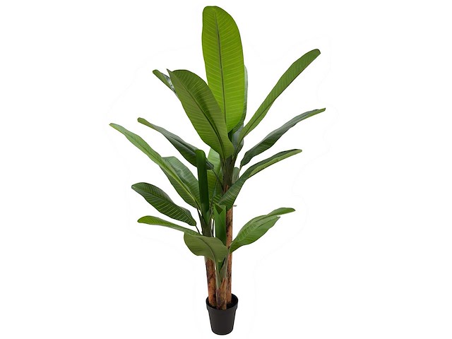 Banana tree kunstplant (200cm hoog) - afbeelding 9 van  16