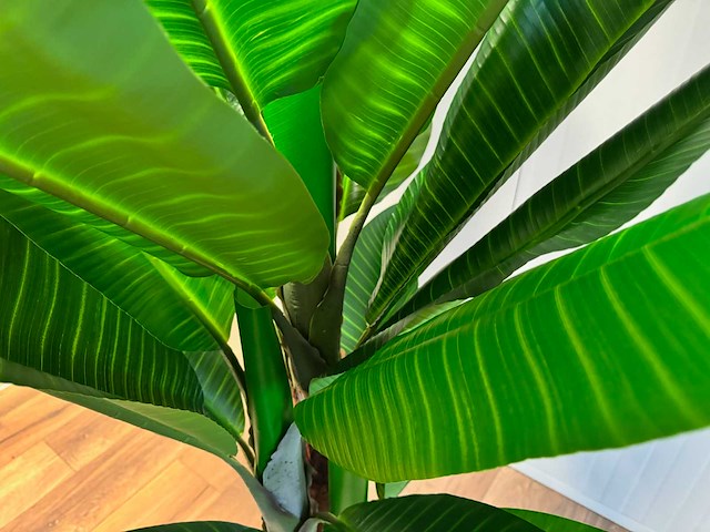 Banana tree kunstplant (200cm hoog) - afbeelding 15 van  16