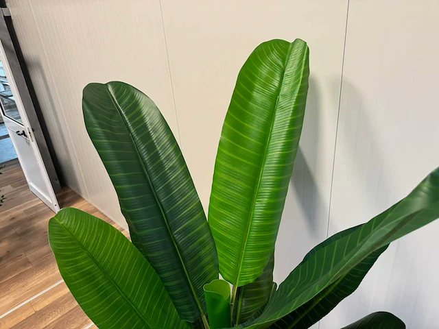 Banana tree kunstplant (200cm hoog) - afbeelding 3 van  15