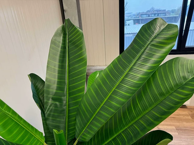 Banana tree kunstplant (200cm hoog) - afbeelding 4 van  15