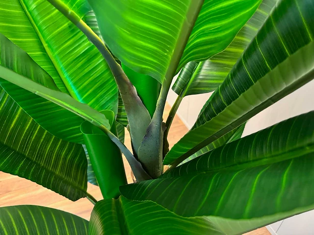 Banana tree kunstplant (200cm hoog) - afbeelding 6 van  15