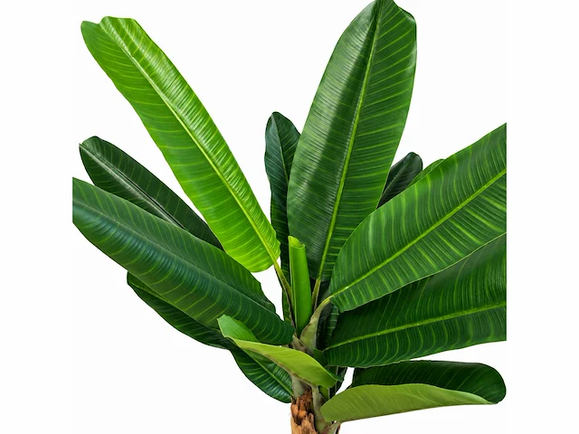 Banana tree kunstplant (200cm hoog) - afbeelding 8 van  15