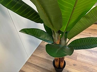Banana tree kunstplant (200cm hoog) - afbeelding 14 van  15