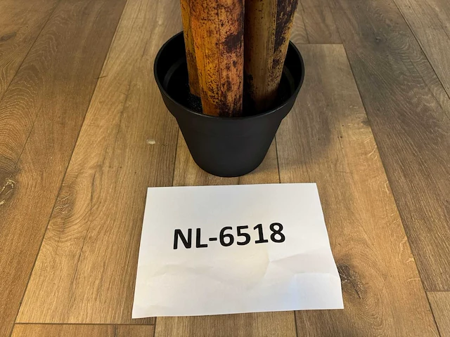 Banana tree kunstplant (200cm hoog) - afbeelding 8 van  16