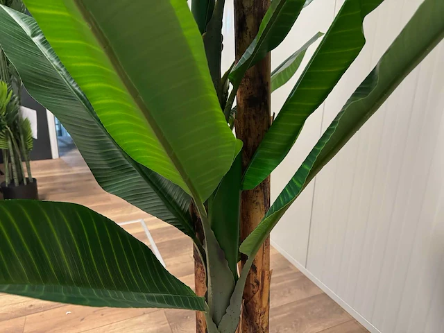 Banana tree kunstplant (260cm hoog) (2x) - afbeelding 3 van  15