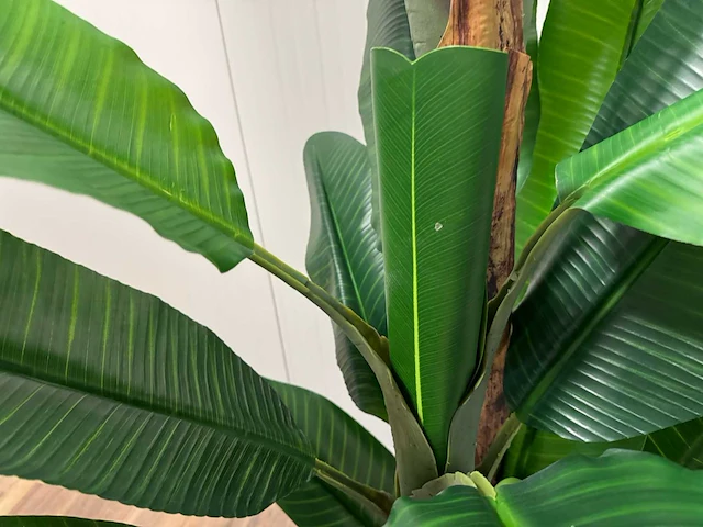Banana tree kunstplant (260cm hoog) (2x) - afbeelding 5 van  15