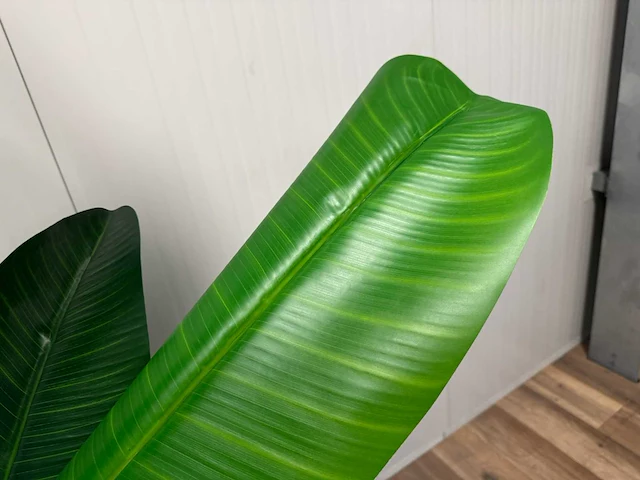 Banana tree kunstplant (260cm hoog) (2x) - afbeelding 6 van  15