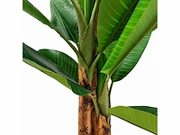 Banana tree kunstplant (260cm hoog) (2x) - afbeelding 8 van  15