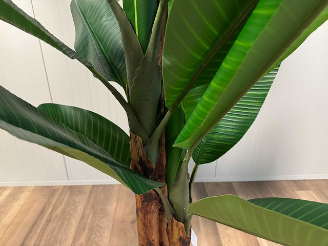 Banana tree kunstplant (260cm hoog) - afbeelding 2 van  17