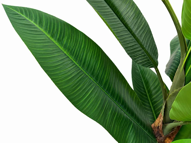 Banana tree kunstplant (260cm hoog) - afbeelding 9 van  15