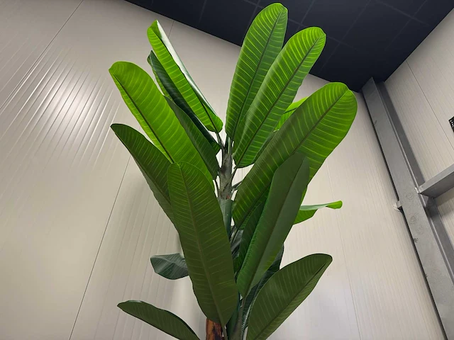 Banana tree kunstplant (260cm hoog) - afbeelding 11 van  15
