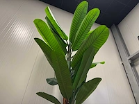 Banana tree kunstplant (260cm hoog) - afbeelding 11 van  15