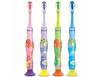 Banat flip-flap tandenborstels (74x) - afbeelding 1 van  5