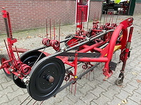 Bandhark - afbeelding 7 van  8