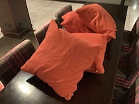 Bank kussens - pillow (60x)