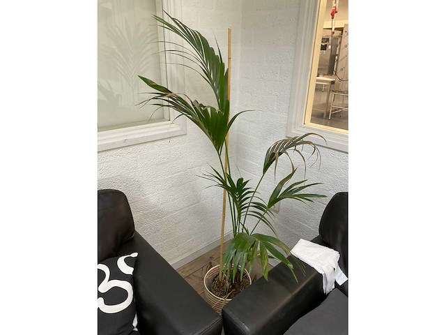 Bankstel met salontafel (2x) - afbeelding 5 van  5