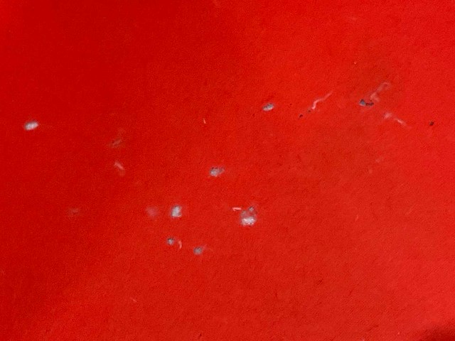 Bankstel - afbeelding 8 van  8