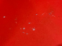 Bankstel - afbeelding 8 van  8