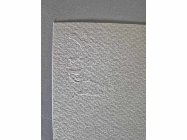 Banksy - litho - 70 x 50 - afbeelding 4 van  4