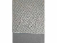 Banksy - litho - 70 x 50 - afbeelding 3 van  4