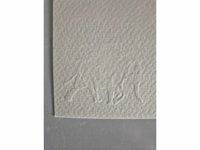 Banksy - litho - 70 x 50 - afbeelding 4 van  4