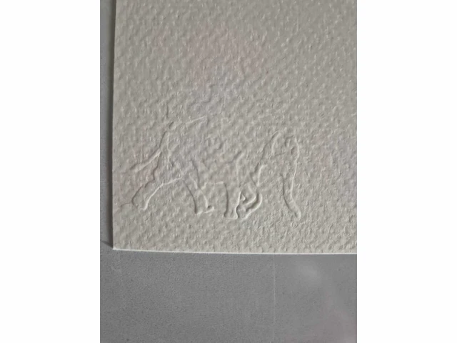 Banksy - litho - 70 x 50 - afbeelding 4 van  4