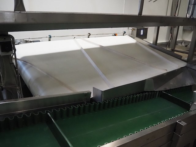 Banss schlacht- und fördertechnik gmbh - afbeelding 4 van  8