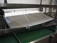 Banss schlacht- und fördertechnik gmbh - afbeelding 4 van  8