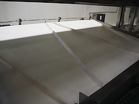 Banss schlacht- und fördertechnik gmbh - afbeelding 5 van  8