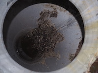 Banss schlacht- und fördertechnik gmbh - afbeelding 14 van  17