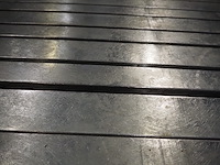 Banss schlacht- und fördertechnik gmbh - afbeelding 9 van  12