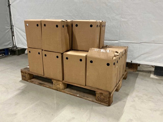 Barba rossa bier (168x) - afbeelding 3 van  4