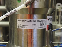 Bardiani valvole spa/hovap - afbeelding 9 van  14