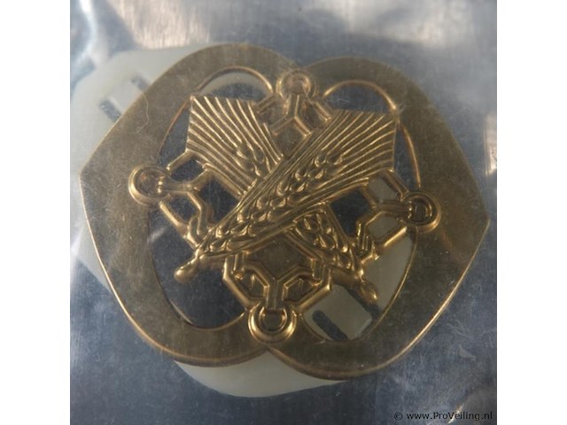 Baretembleem van de nederlandse koninklijke landmacht, specifiek voor de intendance of het regiment intendancetroepen. - afbeelding 2 van  5