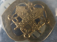 Baretembleem van de nederlandse koninklijke landmacht, specifiek voor de intendance of het regiment intendancetroepen. - afbeelding 2 van  5