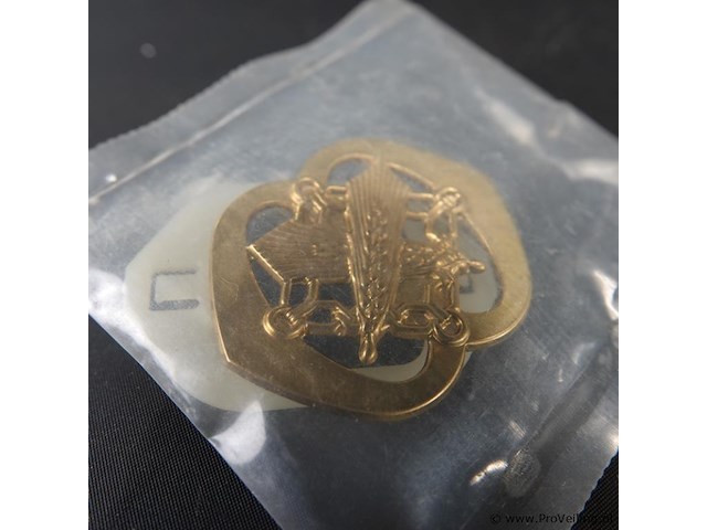 Baretembleem van de nederlandse koninklijke landmacht, specifiek voor de intendance of het regiment intendancetroepen. - afbeelding 3 van  5