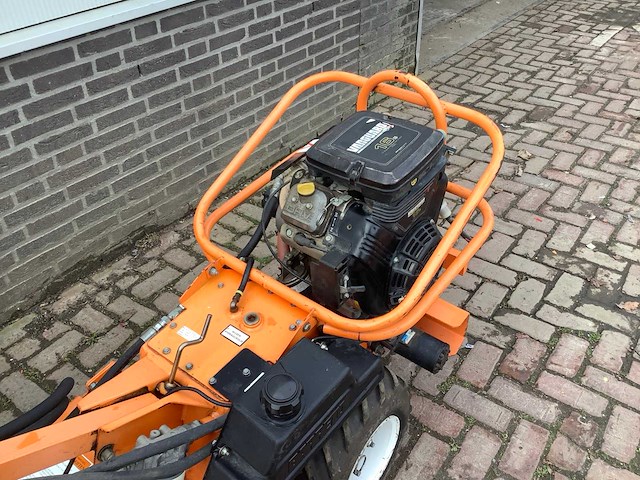 Baretto grondfrees - afbeelding 4 van  7