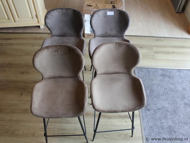 Barkrukken - afbeelding 5 van  5