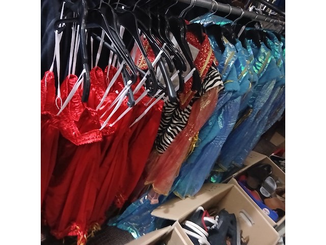 Barokke pakken verkleedkleding/carnaval - afbeelding 1 van  3