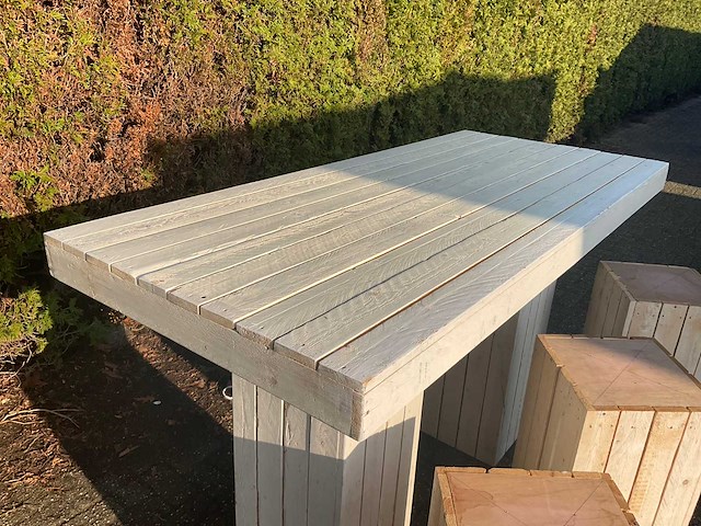 Bartafel “lounge” - afbeelding 11 van  12