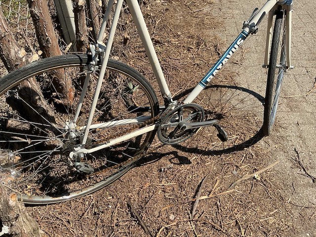 Batavus champion wielrenfiets - afbeelding 9 van  11