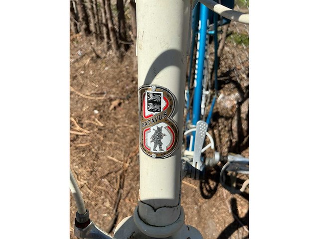 Batavus champion wielrenfiets - afbeelding 4 van  10