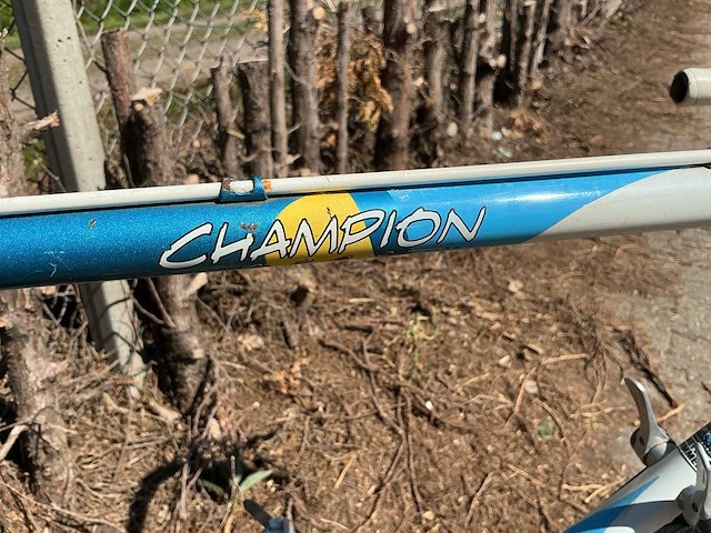 Batavus champion wielrenfiets - afbeelding 5 van  10