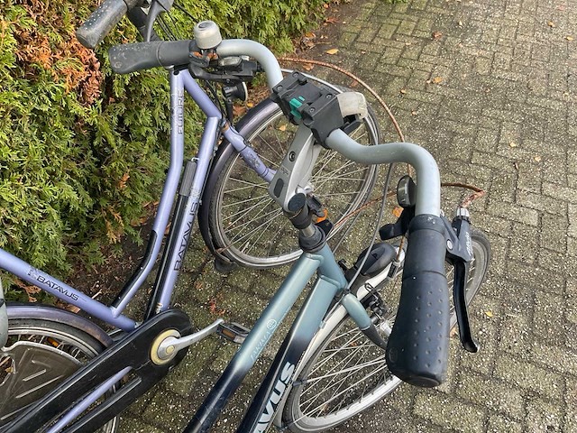 Batavus damesfiets (2x) - afbeelding 6 van  7